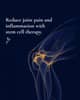 Slider image (8) Blue Phoenix for Regenerative Wellness